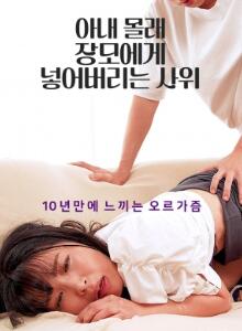偷偷把东西放给岳母的女婿