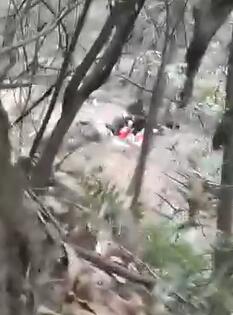 老年人组团野战被偷拍